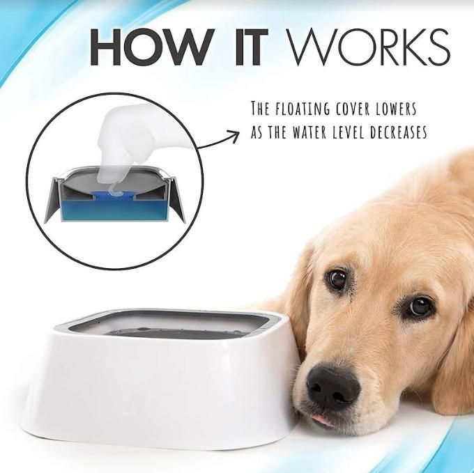 Pet Bowl Floating Anti- Overflow