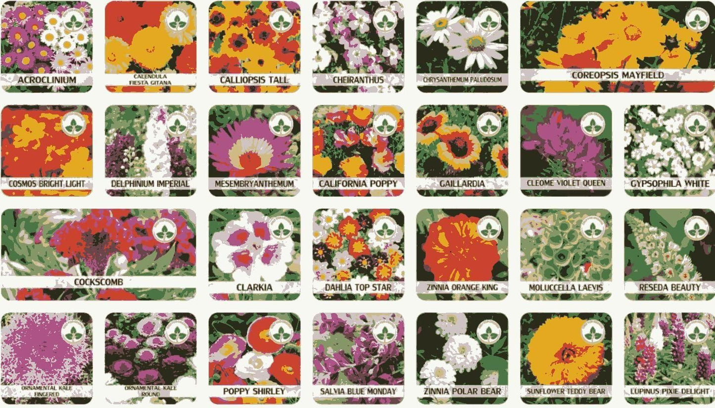 Get 100 Varieties of Flower Seeds – Perfect for a Thriving Garden!